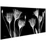Gentian X-Ray 48"W Floating Tempered Glass Graphic Wall Art in scene