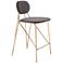 Georges Counter Stool (Set of 2) Gray & Gold