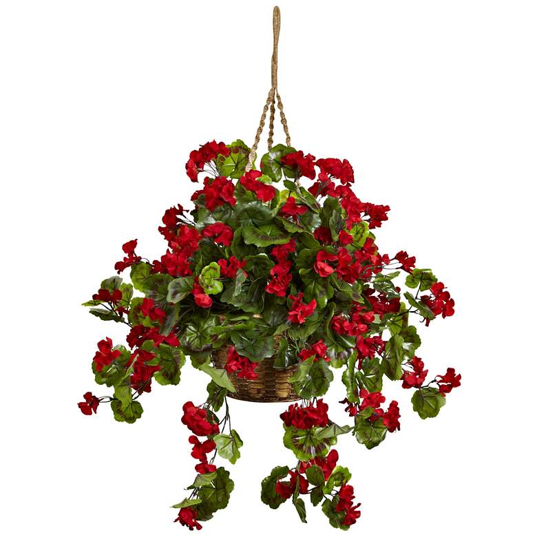 Image 1 Geranium Hanging Basket UV Resistant (Indoor/Outdoor)