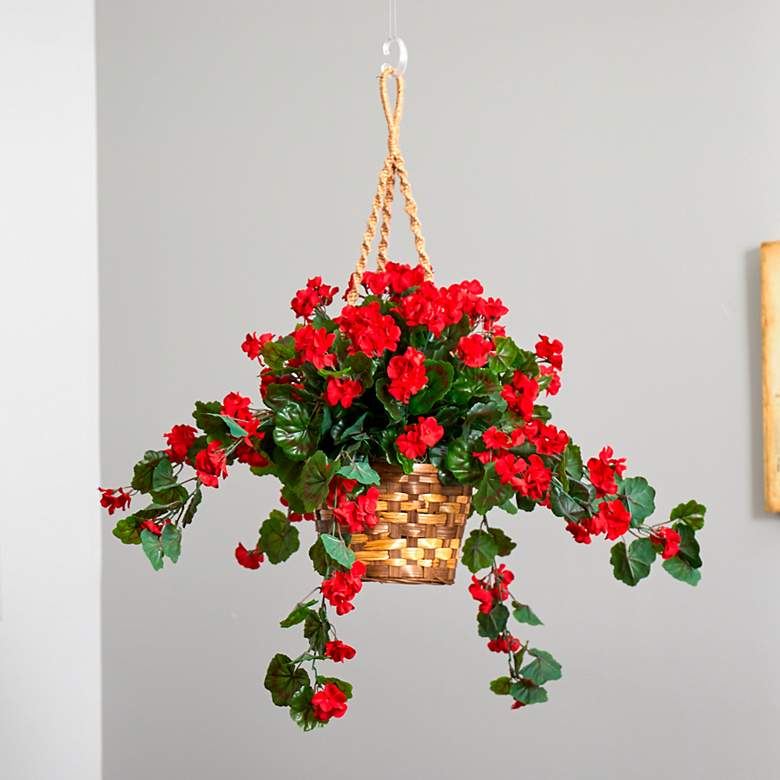 Image 1 Geranium Hanging Basket UV Resistant (Indoor/Outdoor)