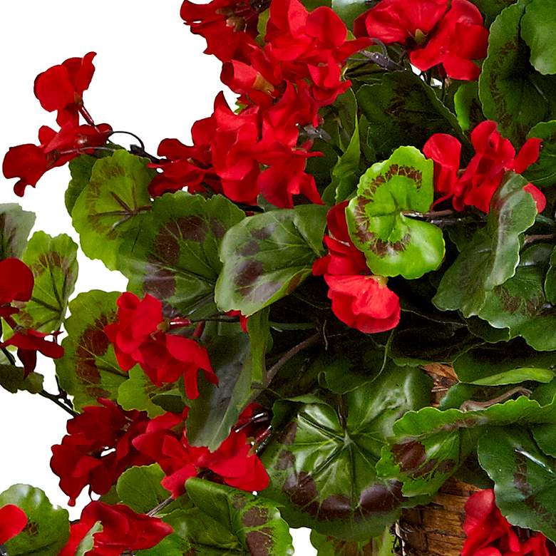 Image 3 Geranium Hanging Basket UV Resistant (Indoor/Outdoor) more views