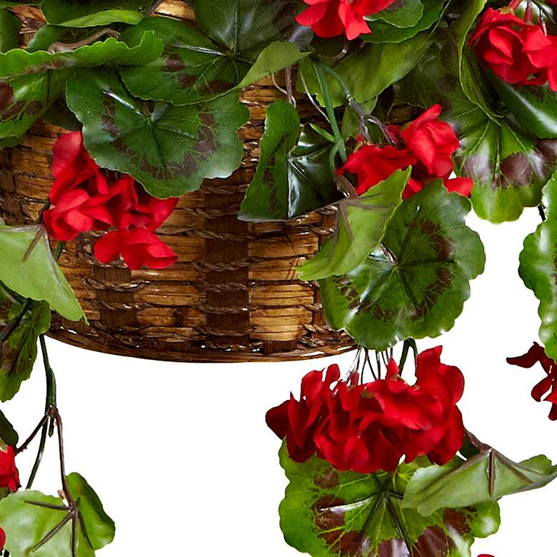 Image 4 Geranium Hanging Basket UV Resistant (Indoor/Outdoor) more views