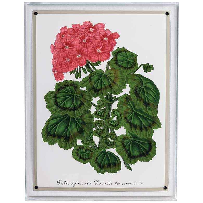 Image 1 Geranium I 26" High Rectangular Giclee Framed Wall Art