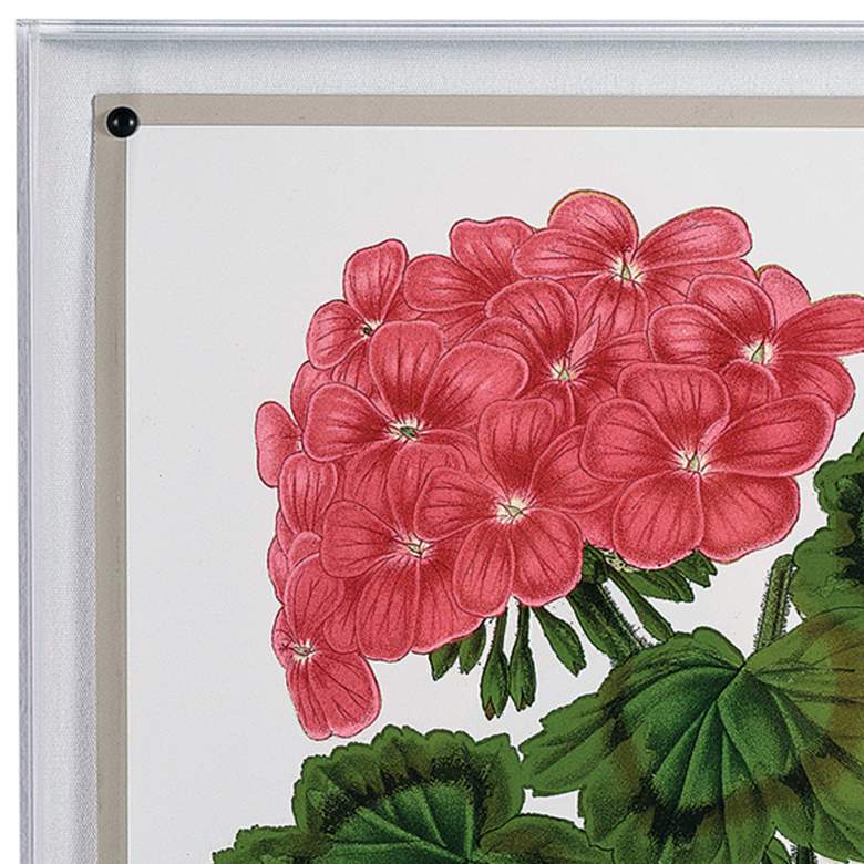 Image 2 Geranium I 26 inch High Rectangular Giclee Framed Wall Art more views