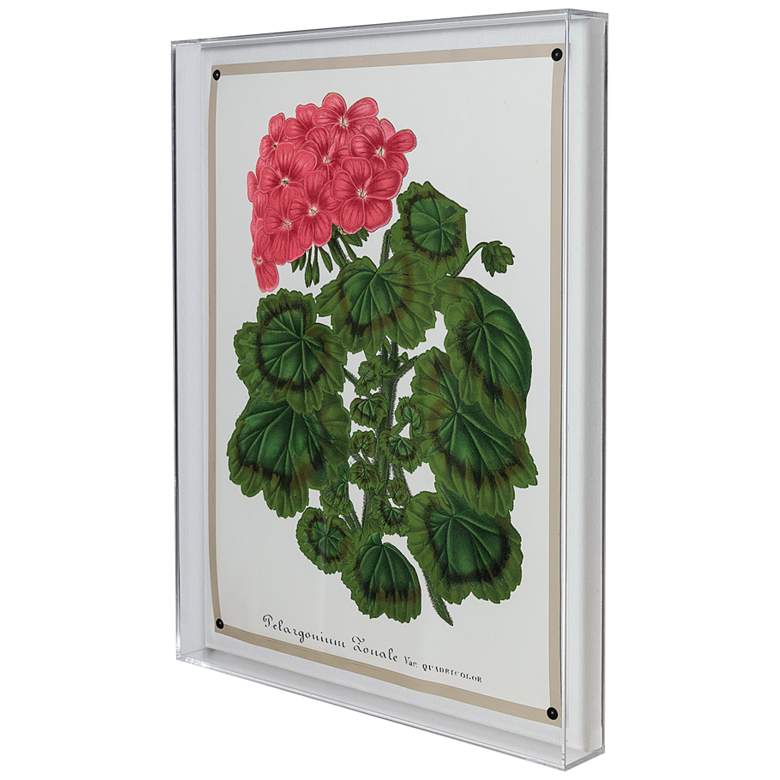 Image 3 Geranium I 26 inch High Rectangular Giclee Framed Wall Art more views