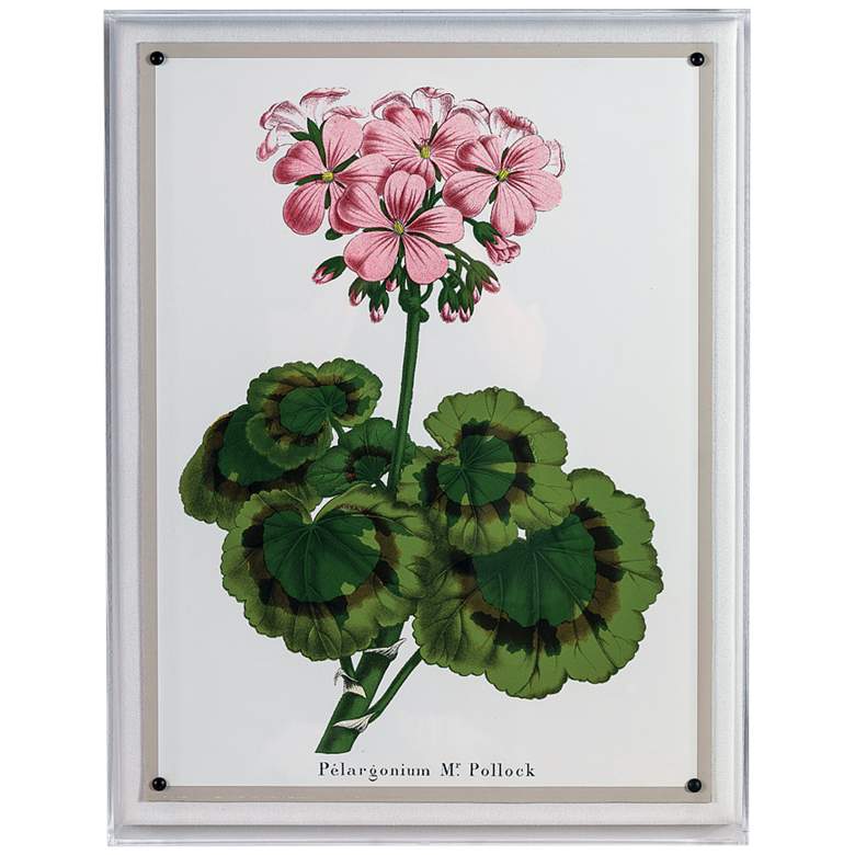 Image 1 Geranium II 26 inch High Rectangular Giclee Framed Wall Art