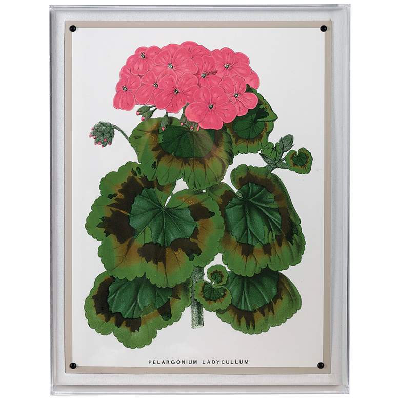 Image 1 Geranium III 26" High Rectangular Giclee Framed Wall Art