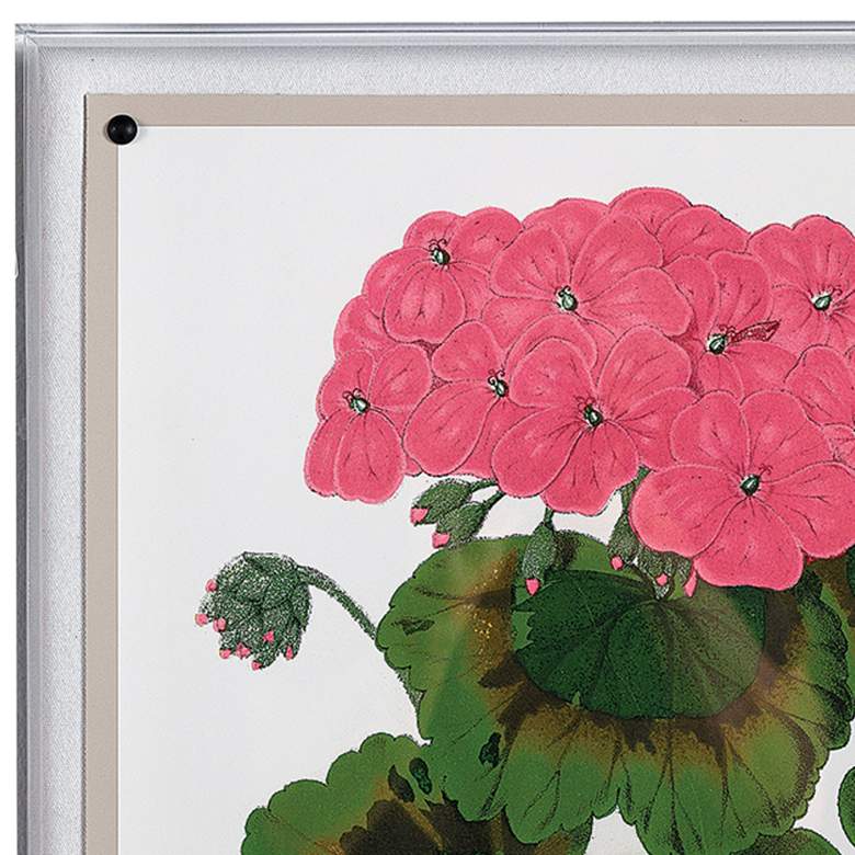 Image 2 Geranium III 26" High Rectangular Giclee Framed Wall Art more views
