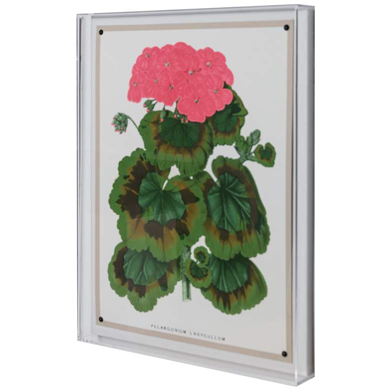 Image 3 Geranium III 26" High Rectangular Giclee Framed Wall Art more views
