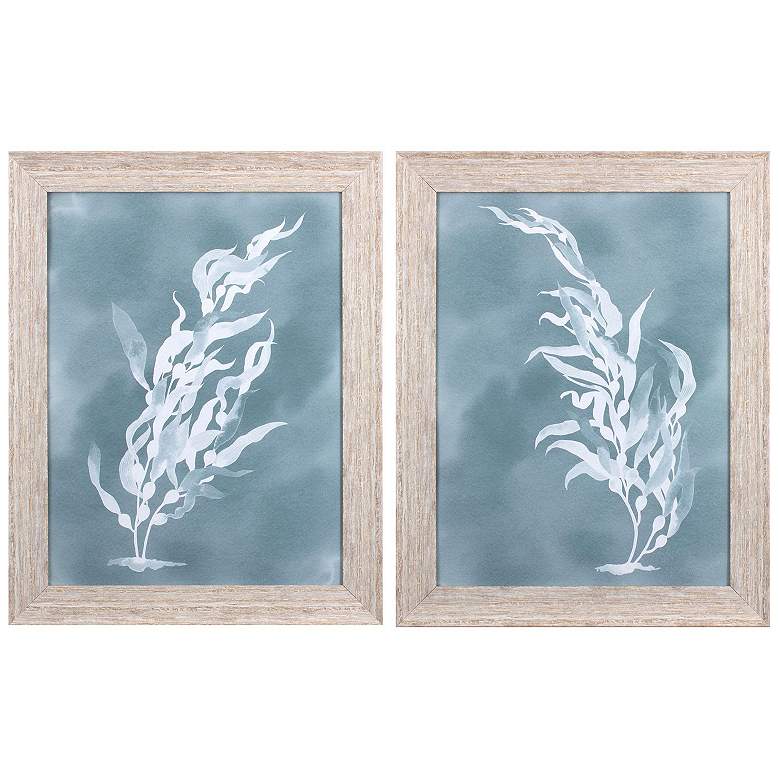 Image 1 Ghost Kelp 22"W x 28"H Framed Art Set of 2