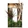 Ghostwood and Dracaena 44" High Faux Plant in Shadow Box