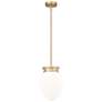 2_Gideon by Z-Lite Modern Gold 1 Light Pendant