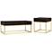 Gilhame Walnut Wood and Gold Metal 2-Piece Coffee Tables Set