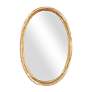 2_Gillian Antiqued-Brushed Gold 26" x 39" Wall Mirror