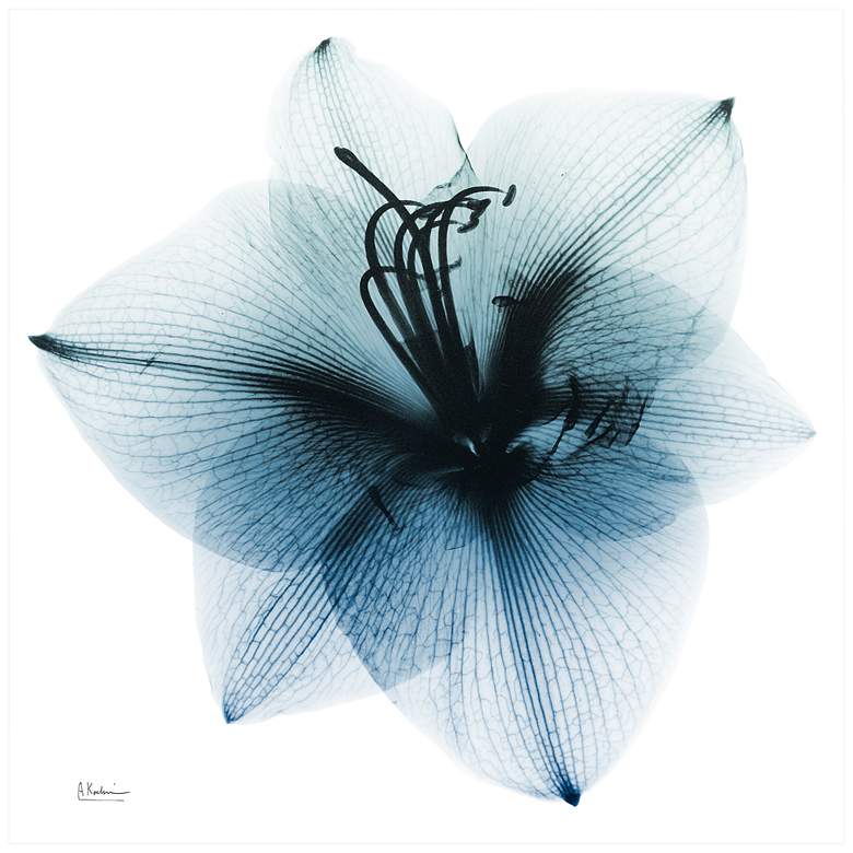 Image 3 Glacial Amaryllis 38 inch Square Tempered Glass Graphic Wall Art