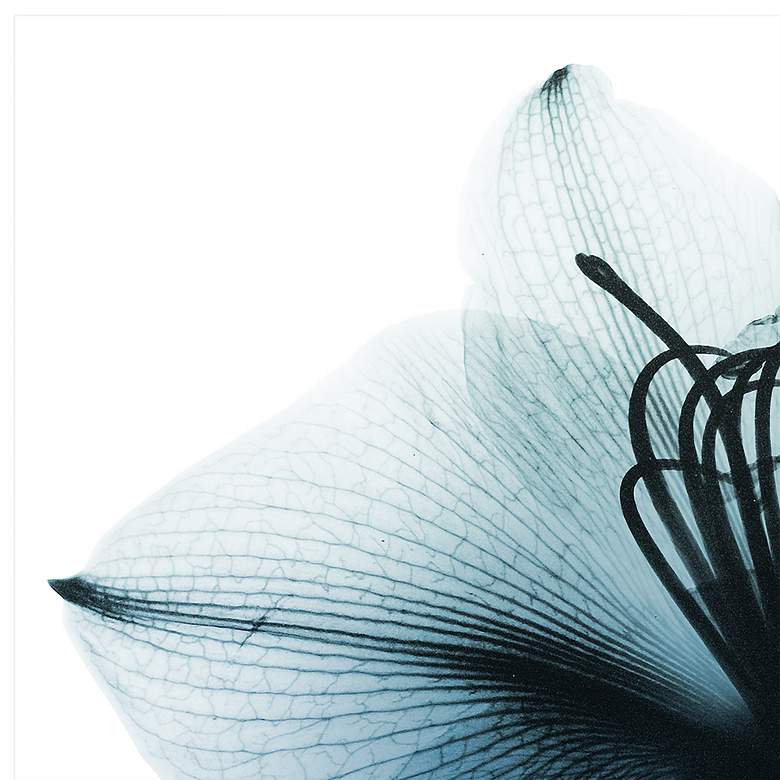 Image 4 Glacial Amaryllis 38" Square Tempered Glass Graphic Wall Art more views