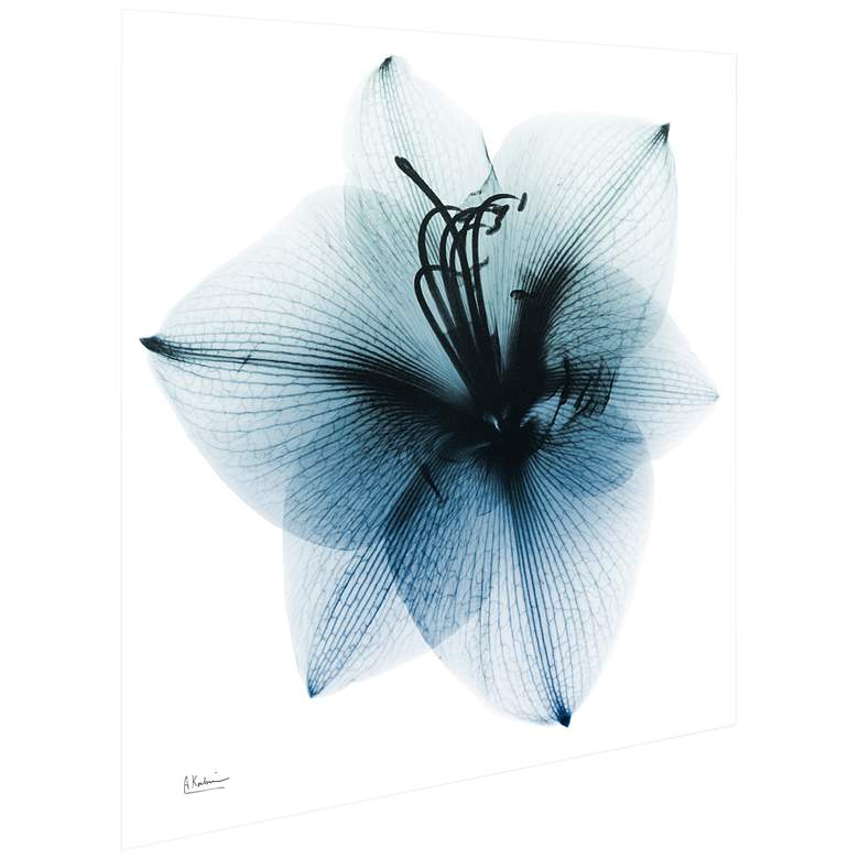 Image 5 Glacial Amaryllis 38" Square Tempered Glass Graphic Wall Art more views