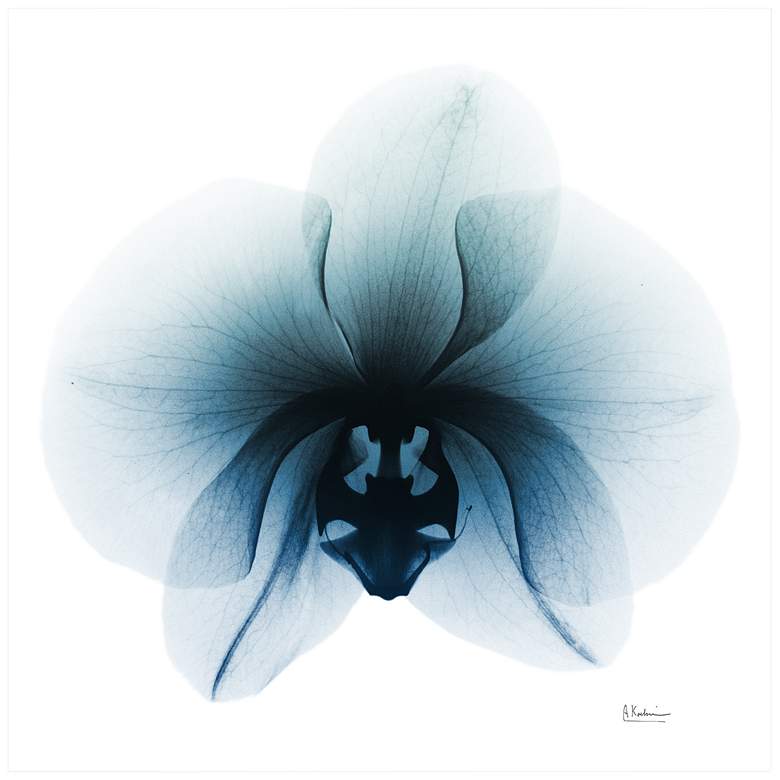 Image 2 Glacial Orchid 38" Square Tempered Glass Graphic Wall Art