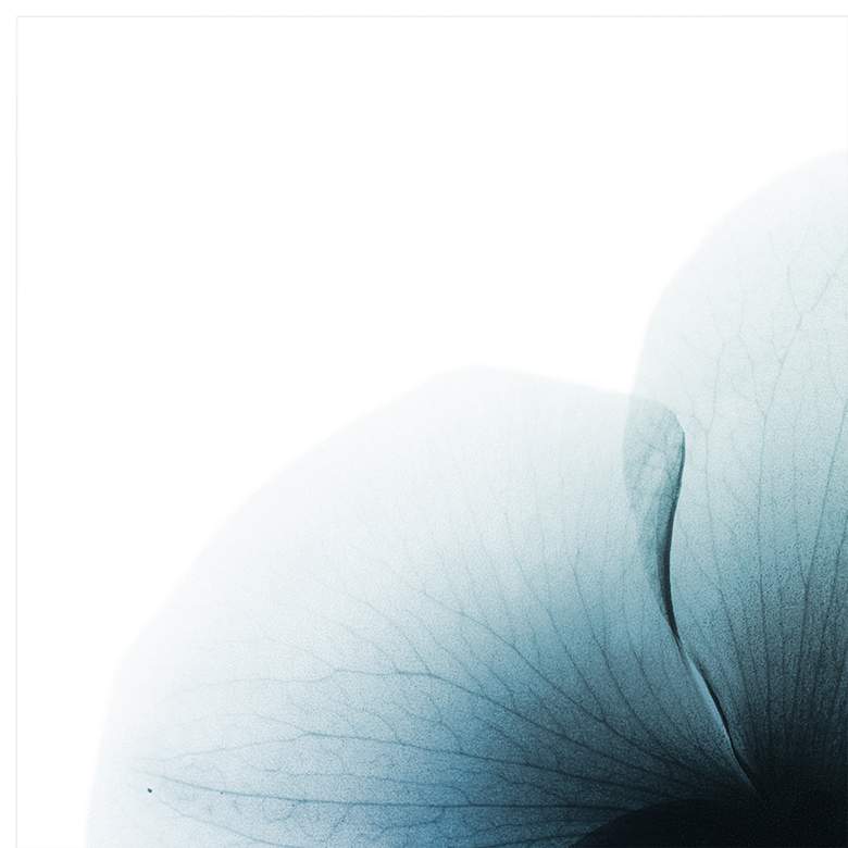 Image 3 Glacial Orchid 38" Square Tempered Glass Graphic Wall Art more views