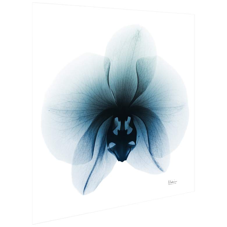 Image 4 Glacial Orchid 38" Square Tempered Glass Graphic Wall Art more views