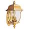 Gladiator 17 1/2"H Polished Brass Outdoor Wall Light