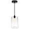 Glass 1 Light Down Mini Pendant With Clear Finish