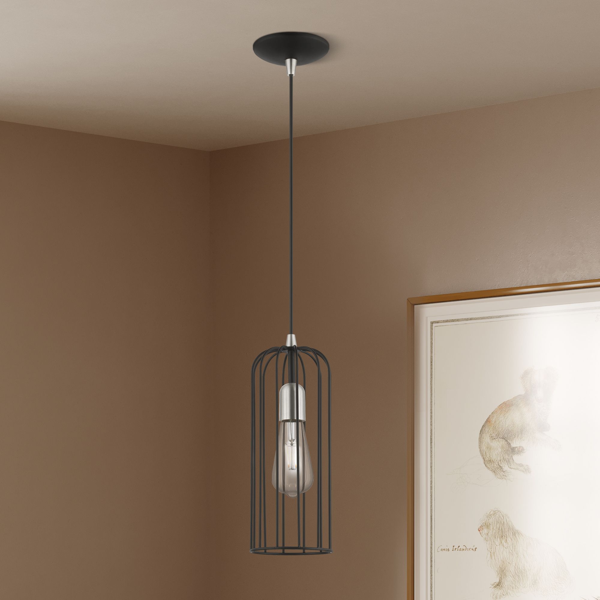 Glenbrook 1 Light Black Pendant with Brushed Nickel Accents