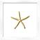 Gold Leafed Thin Starfish 16" Square Framed Wall Art