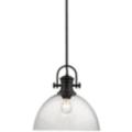 Golden Lighting Hines Black Collection