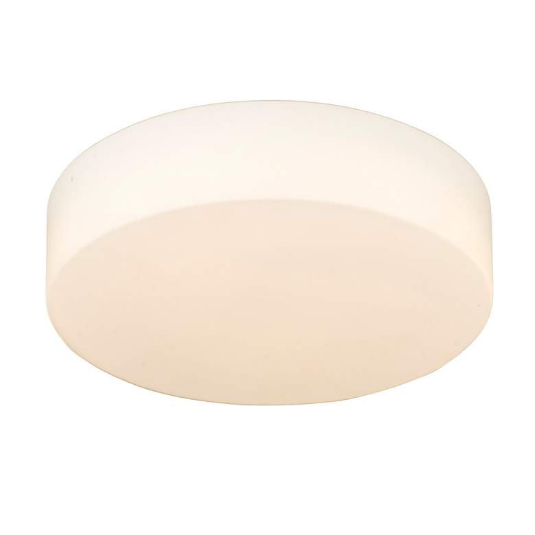 Image 5 Golden Lighting Toli 12" Champagne and Opal Glass LED Ceiling Light more views