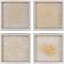 Golden Organics I 18"W x 18"H Framed Art Set of 4