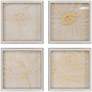 1_Golden Organics II 18"W x 18"H Framed Art Set of 4