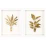 1_Golden Palm I 22"W x 28"H Framed Art Set of 2