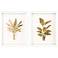 Golden Palm I 22"W x 28"H Framed Art Set of 2