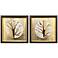 Golden Solstice I 25"W x 25"H Canvas Art - Set of 2