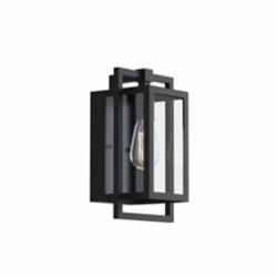 Goson 1-Light 11.75-in Black Outdoor Wall Light