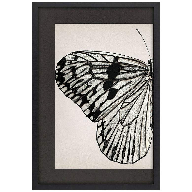 Image 1 Grand Butterfly I 31"W x 47"H Framed Art