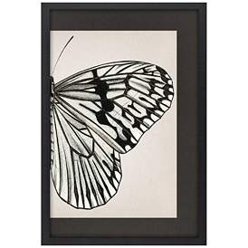 Image1 of Grand Butterfly II 31"W x 47"H Framed Art