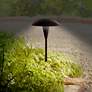 Grant 18" High Bronze LED Mushroom Path Lights Set of 2