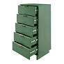 6_Granville Tall 23.62 Narrow Dresser in Sage Green more views
