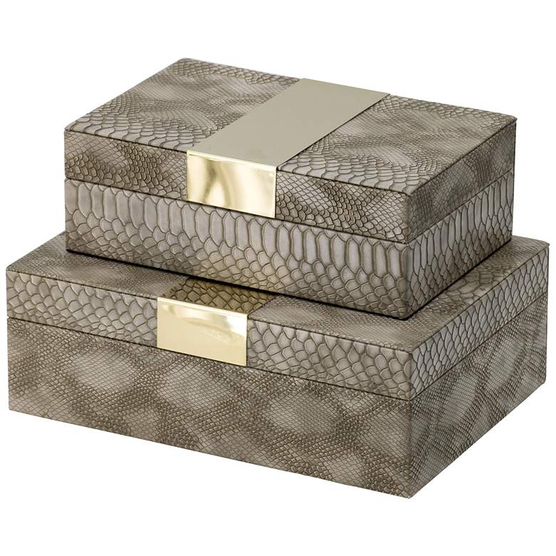 Image 1 Gray &#38; Gold Metal Banded Python Print Rectangular Boxes - Set of 2