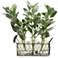 Gray and Green Lamb's Ear Branches 15 1/2"H Faux Plant