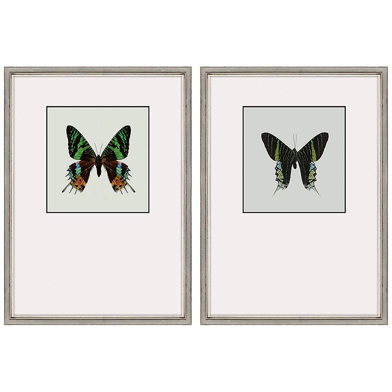 Image 3 Great Butterfly I 25" Wide 2-Piece Framed Wall Art Set