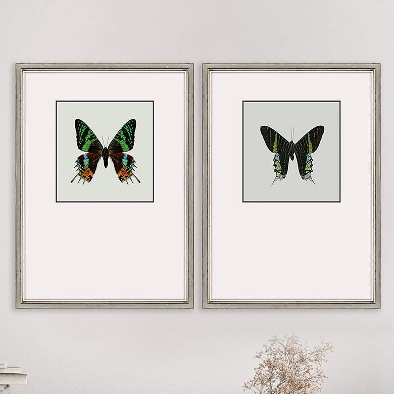Image 2 Great Butterfly I 25 inch Wide 2-Piece Framed Wall Art Set
