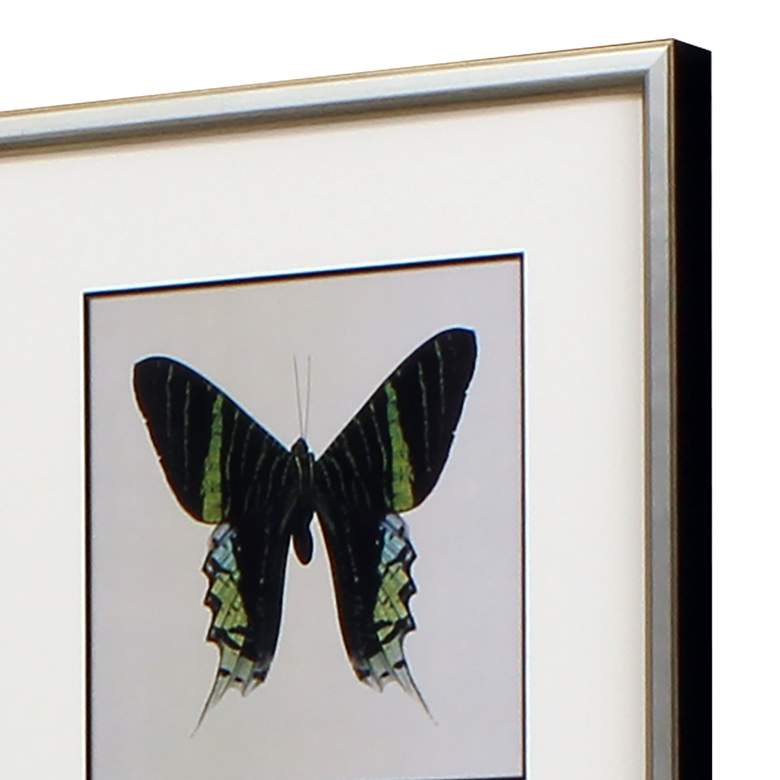 Image 4 Great Butterfly I 25 inch Wide 2-Piece Framed Wall Art Set more views