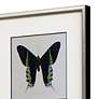 Great Butterfly I 25" Wide 2-Piece Framed Wall Art Set in scene
