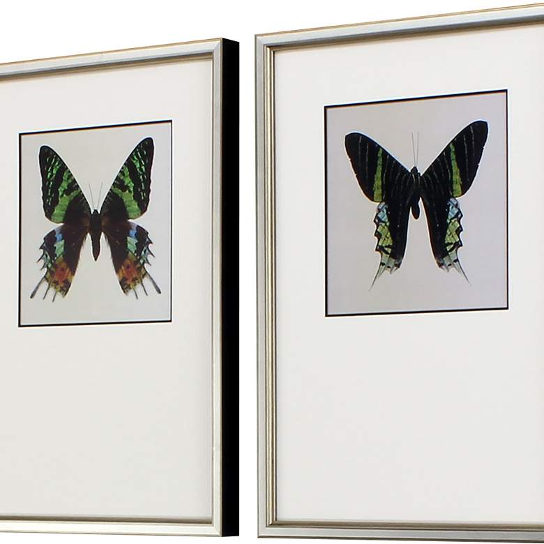 Image 5 Great Butterfly I 25" Wide 2-Piece Framed Wall Art Set more views