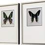 Great Butterfly I 25" Wide 2-Piece Framed Wall Art Set in scene