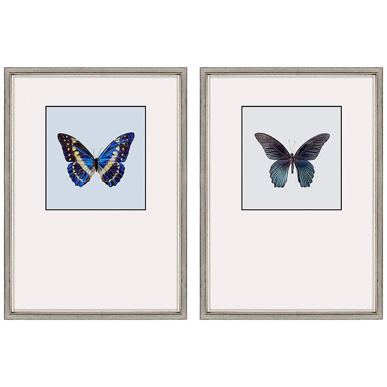 Image 3 Great Butterfly II 25 inch Wide 2-Piece Framed Wall Art Set