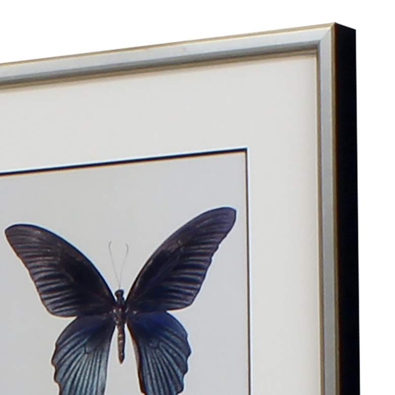 Image 4 Great Butterfly II 25 inch Wide 2-Piece Framed Wall Art Set more views